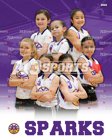 8 & 9 - Sparks (Machac) Team Picture