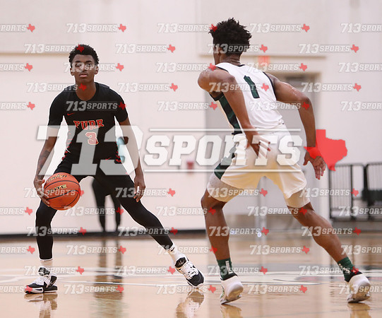 gallery 2216-63