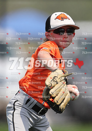 gallery 2182-5