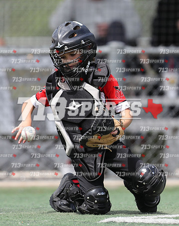 gallery 2237-81