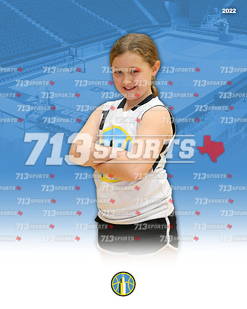 gallery 2053-1