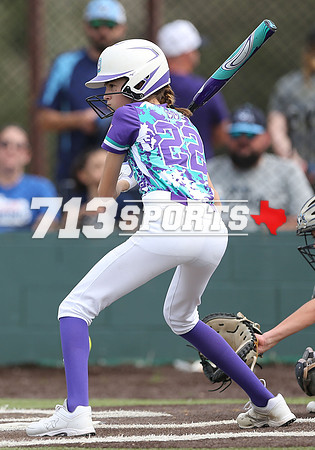 gallery1891-88