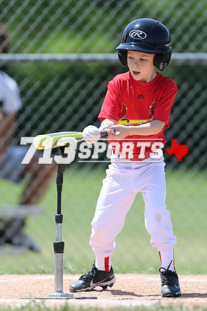 gallery1919-35