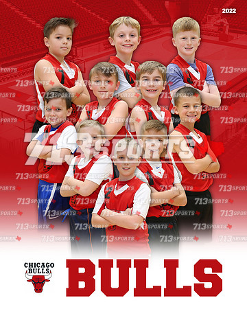 8U - Bulls (Patrick) Team Picture