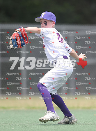 gallery 2239-340