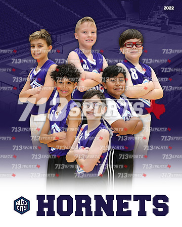 9 & 10 - Hornets (Elko) Team Picture