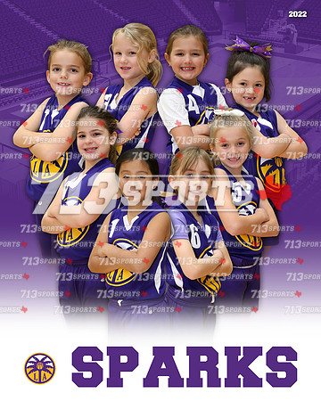 5 & 7 - Sparks (Welte) Team Picture