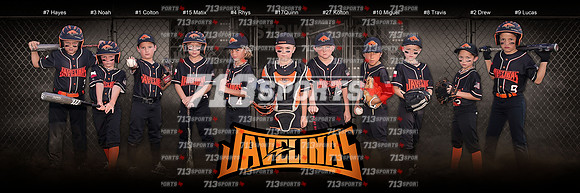 37 (12x36 team panorama)
