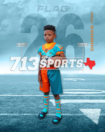 (8x10) #26 Flag