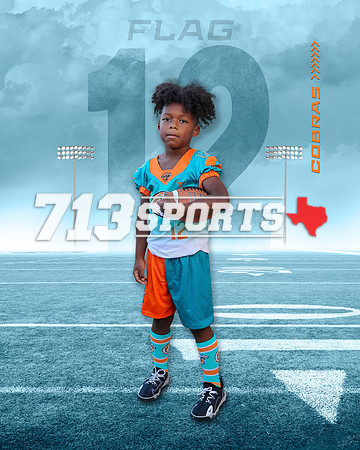 (8x10) #12 Flag