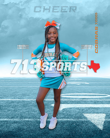 Armani Ray