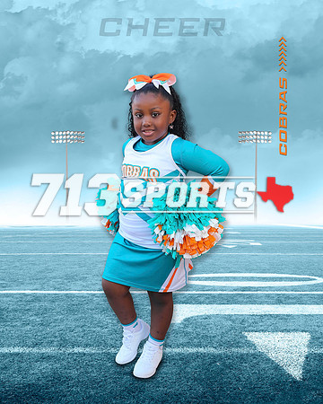 Mililani Williams