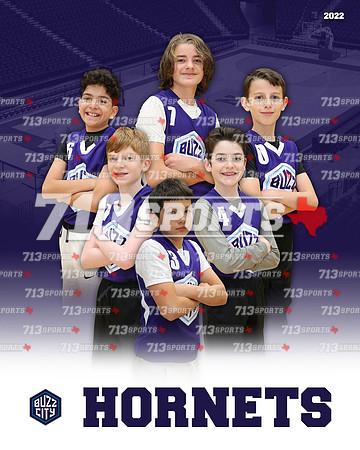 11 & 13 - Hornets (Averill) Team Picture