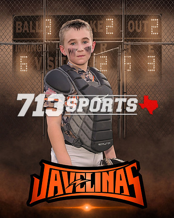 29