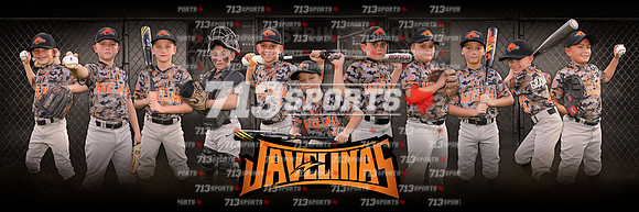 100 (12x36 team panorama)