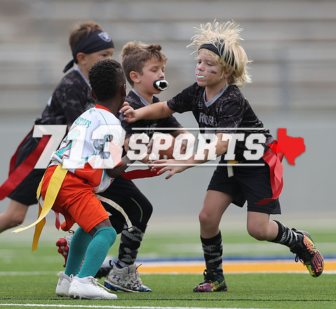 gallery 2220-7