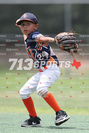 gallery 2184-38