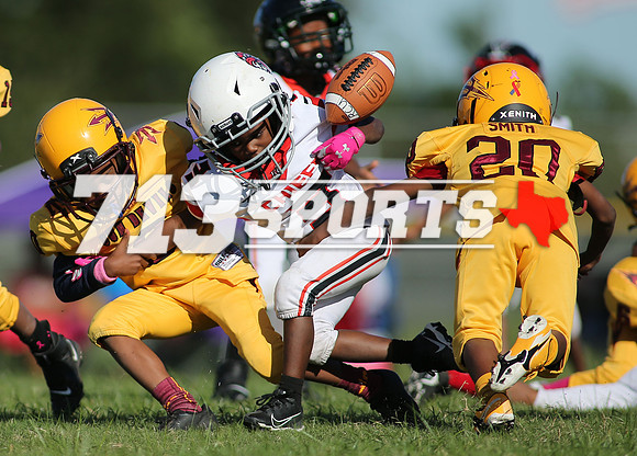 gallery2027-121