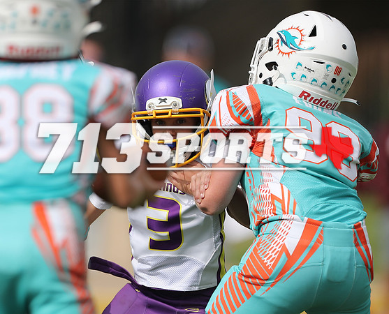 gallery 2221-138
