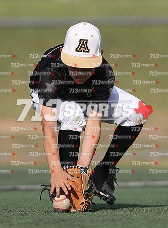 gallery 2159-60