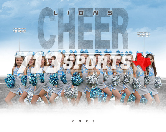 (8x10) Lions CHEER team