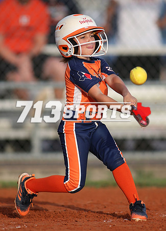gallery1485-36