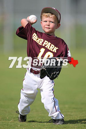 gallery1501-82