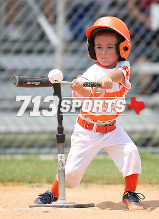 gallery1502-37