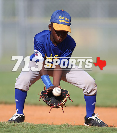 gallery1513-22