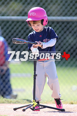 gallery1554-46