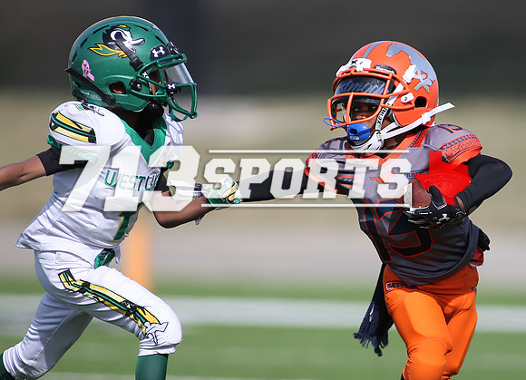 gallery1561-101