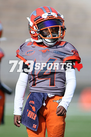 gallery1561-111