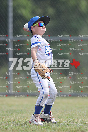 gallery 2242-139