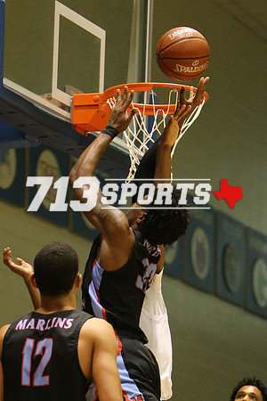 gallery1601-155