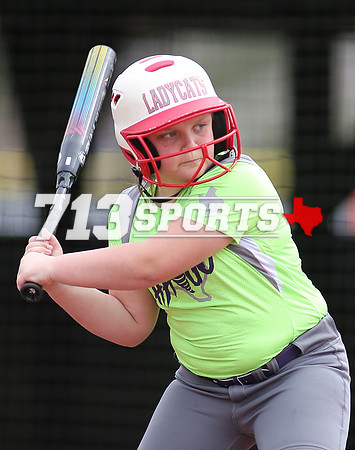 gallery1611-113