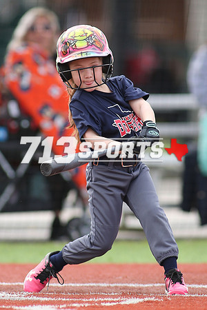 gallery1614-95