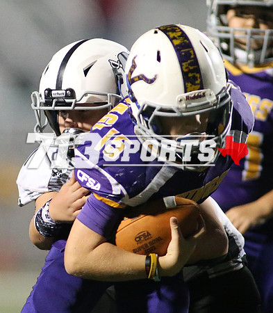 gallery 2041-75
