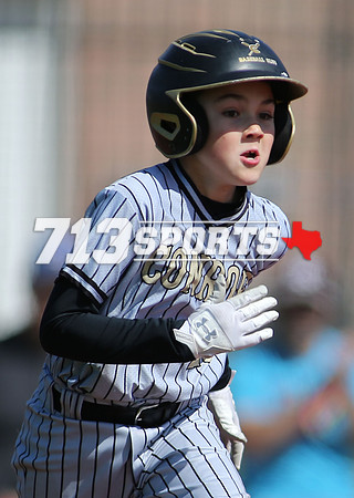 gallery1637-52