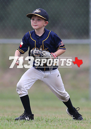 gallery1685-89