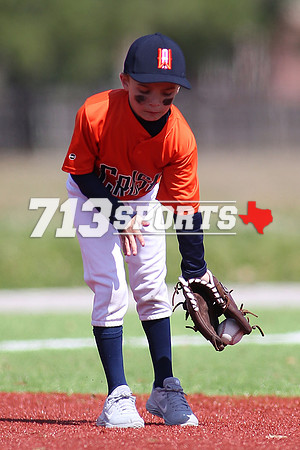 gallery1638-140