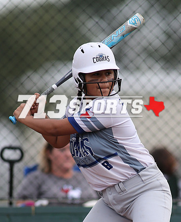 gallery1718-164