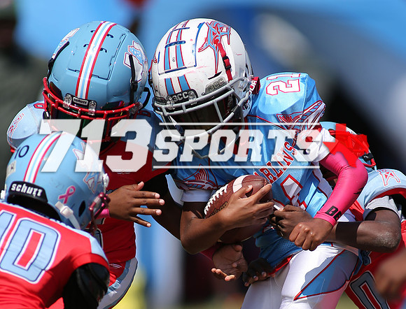 gallery1771-54