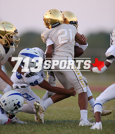 gallery1775-84