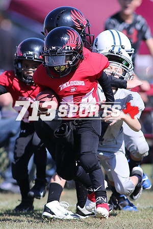gallery1787-58