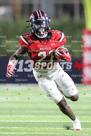 gallery 2196-141