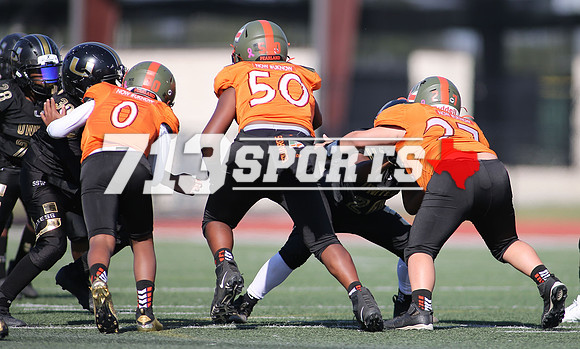 gallery1803-251
