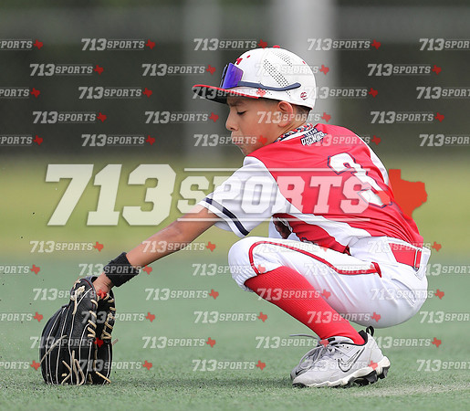 gallery 2230-88