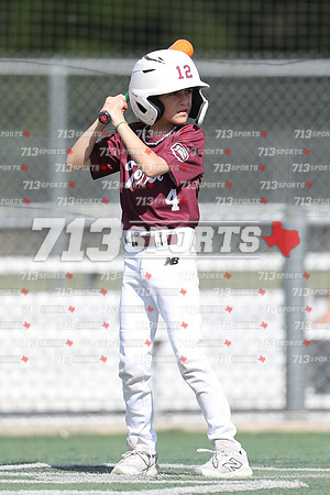 gallery 2229-6