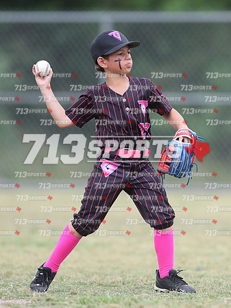 gallery 2239-151