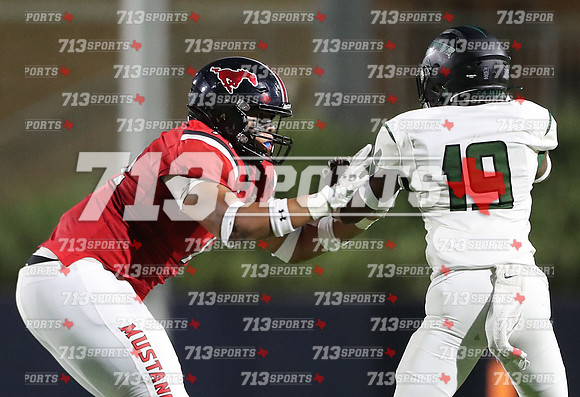 gallery 2196-119